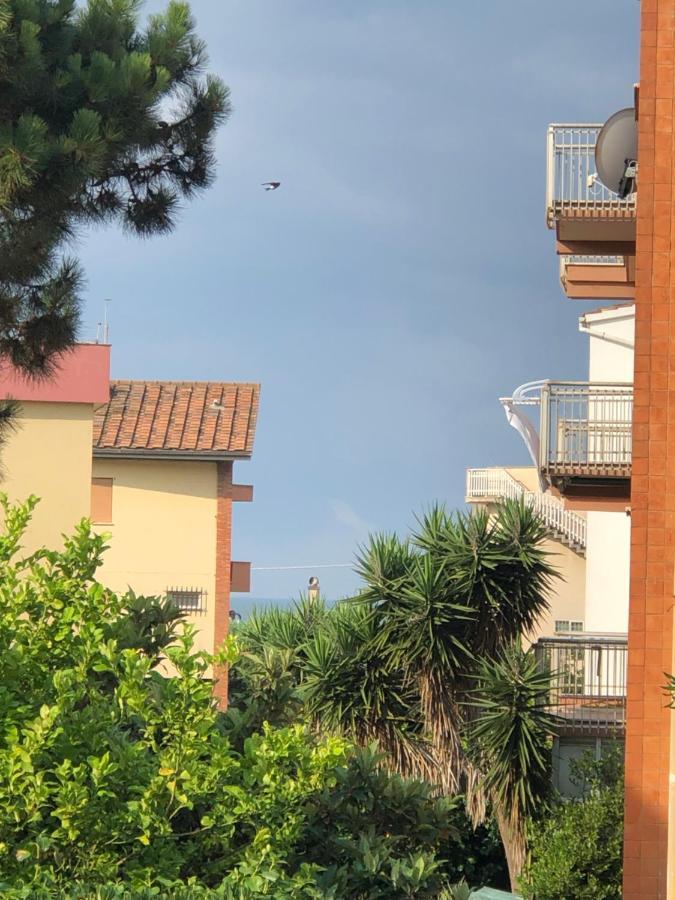 Moonlight Next Palapellicone Tra Mare E Pineta Monolocale Apartment ลิโด ดิ ออสเตีย ภายนอก รูปภาพ